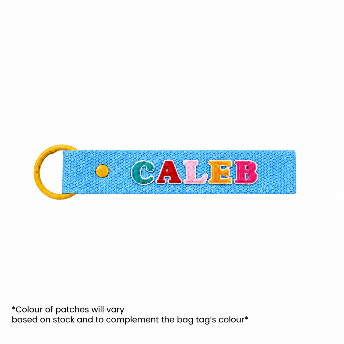 LPS Bag Tag - Blue/Yellow