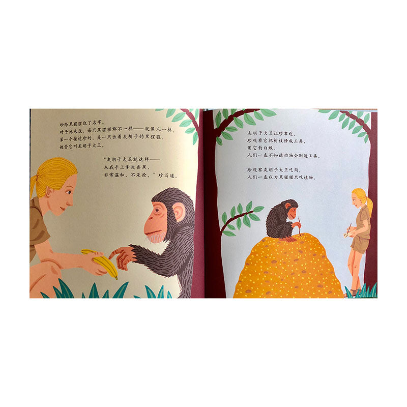 观察者 by Flip for Joy — image 6