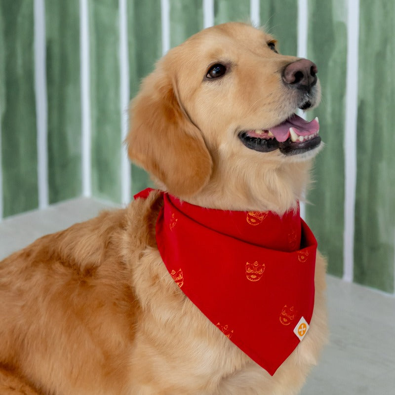 Lion Dance Series - Pet Bandana in Gold Lion Print by Le Petit Society — image 5
