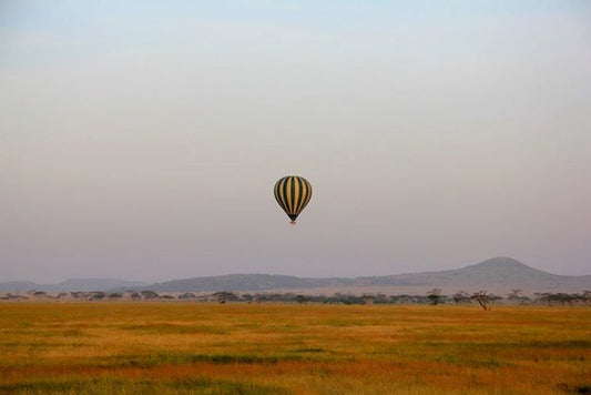 Inspiration :: A trip to the safari
