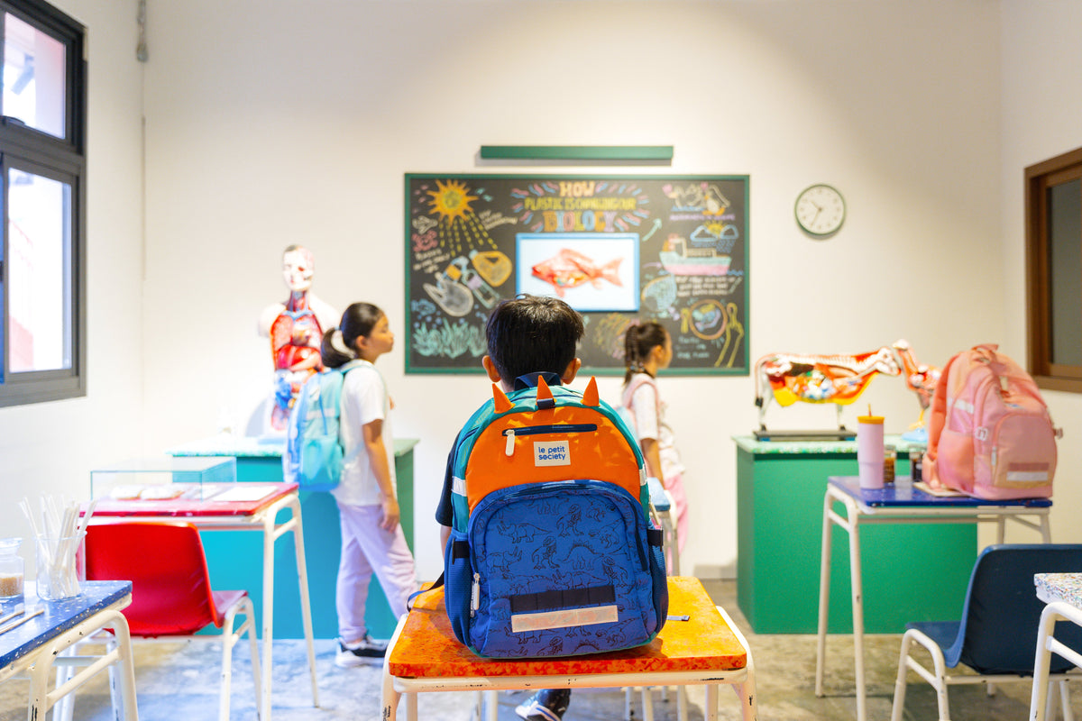 SCHOOL BAGS & ACCESSORIES