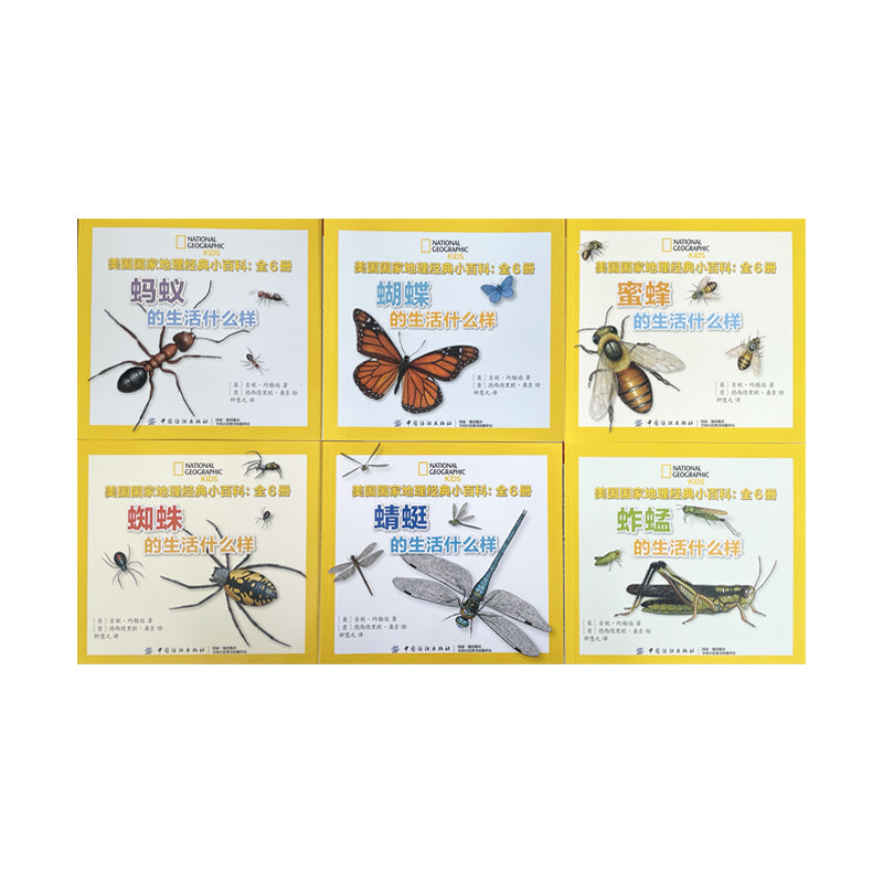 A set of six National Geographic insect-themed children’s books in Chinese. Covers feature realistic illustrations of an ant, butterfly, bee, spider, dragonfly, and grasshopper, each with the title “What is life like for...” in Chinese.