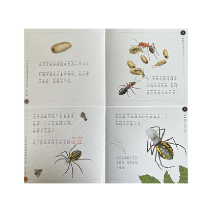 An open children’s science book in Chinese about insects, showing illustrated pages with ants and spiders. Text includes Chinese characters with pinyin and pronunciation guides. The illustrations depict insect life stages and interactions.