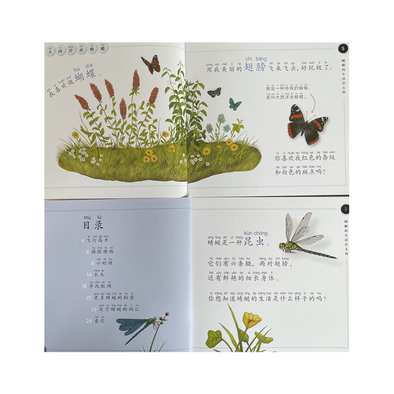 An illustrated children’s book page in Chinese showing butterflies and dragonflies in a meadow. Text with pinyin describes the insects and their wings. Bottom left includes a table of contents with a dragonfly illustration.