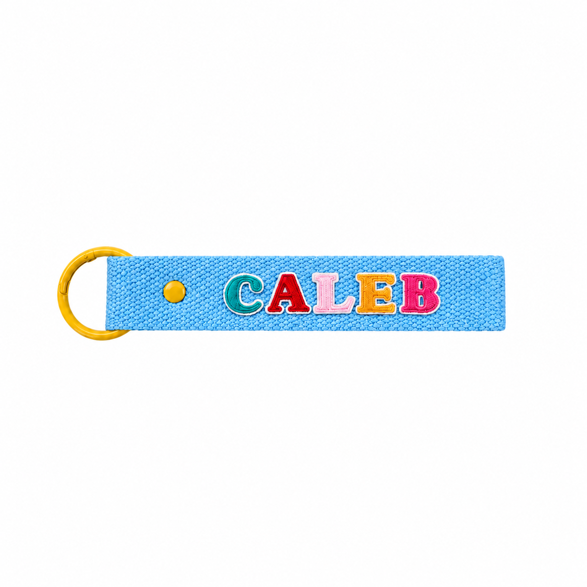 LPS Bag Tag - Blue/Yellow