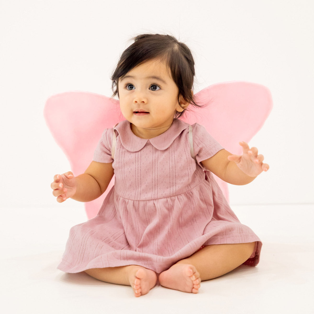 A baby girl wearing a plum-coloured, pointelle cotton dress with a peter pan collar from Le Petit Society.
