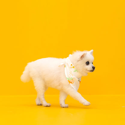 Mandarin Orange Series - Pet Bandana in White by Le Petit Society — image 3