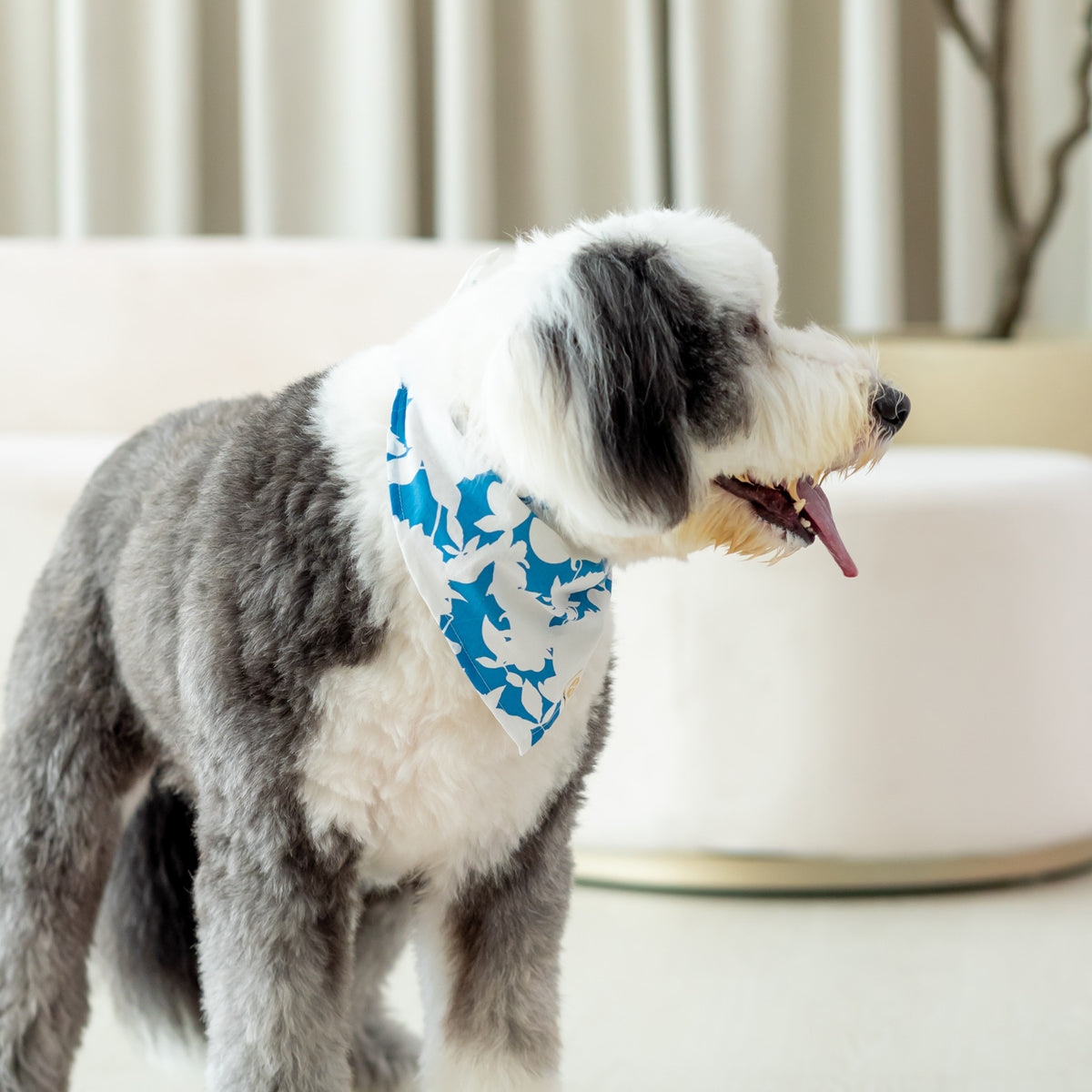Garden Series - Pet Bandana in Blue Floral (Personalisable) by Le Petit Society — image 2