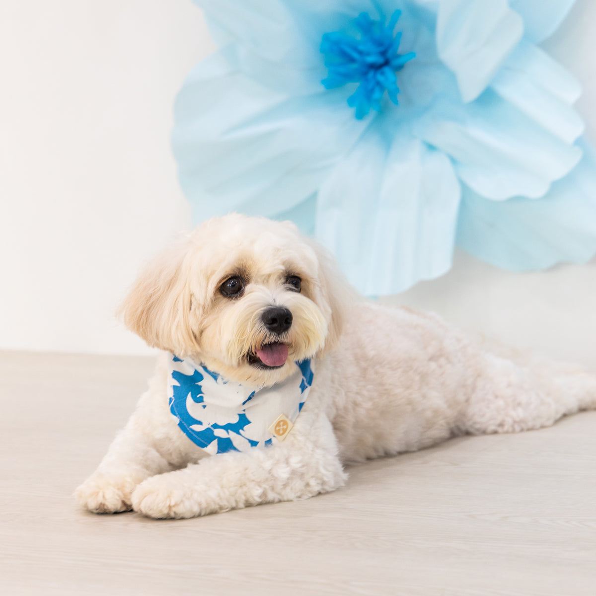 Garden Series - Pet Bandana in Blue Floral (Personalisable) by Le Petit Society — image 6