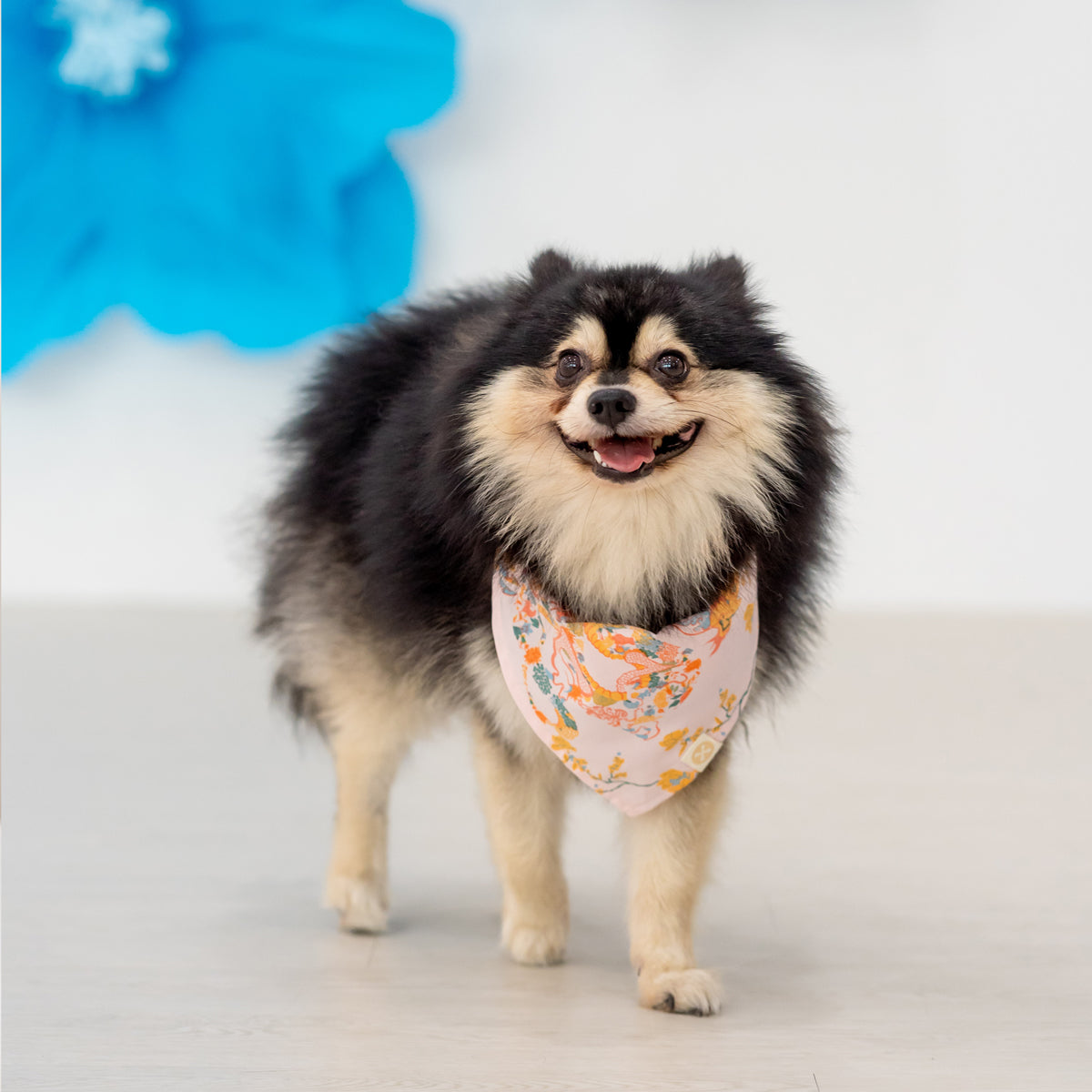 Dragon Series - Pet Bandana in Pink Floral (Personalisable) by Le Petit Society