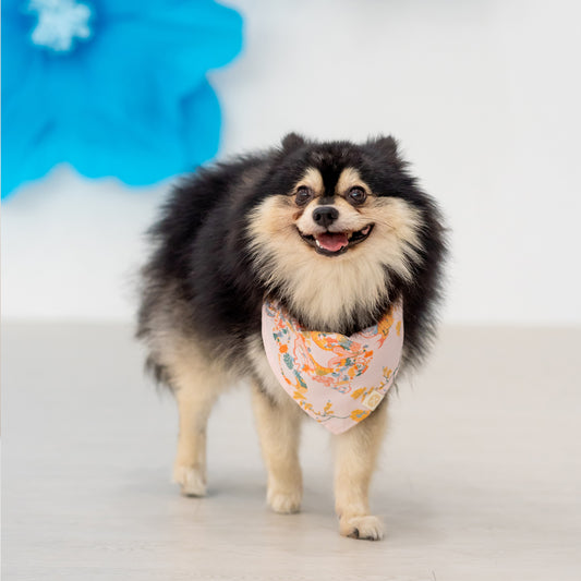 Dragon Series - Pet Bandana in Pink Floral (Personalisable) by Le Petit Society