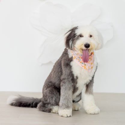 Dragon Series - Pet Bandana in Pink Floral (Personalisable) by Le Petit Society — image 3