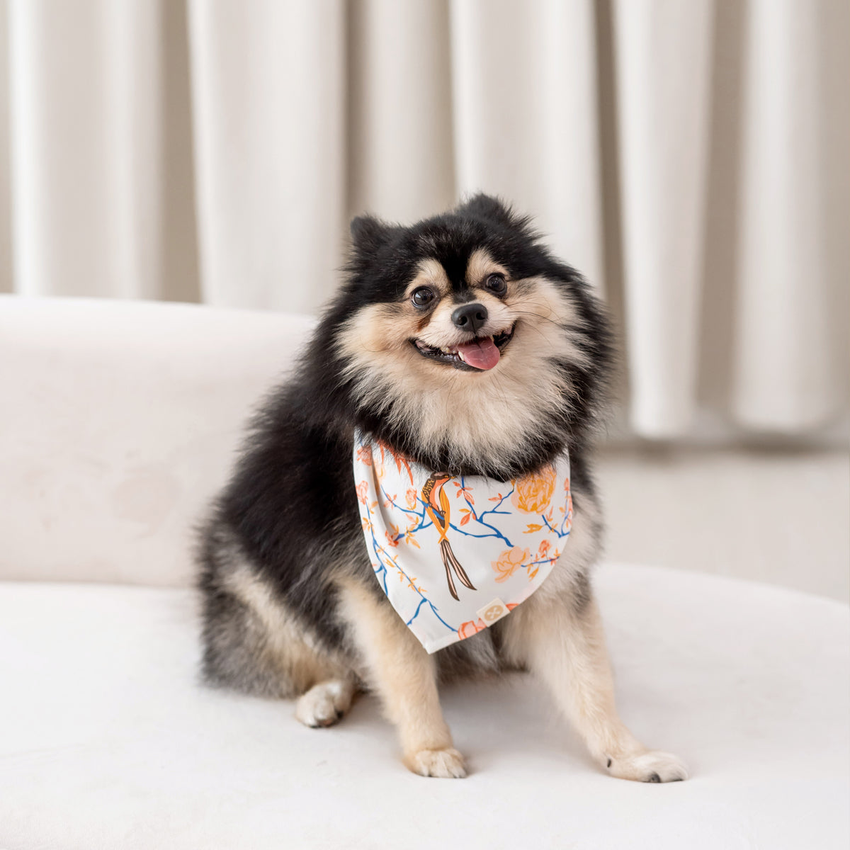 Garden Series - Pet Bandana in White Peony (Personalisable) by Le Petit Society — image 3