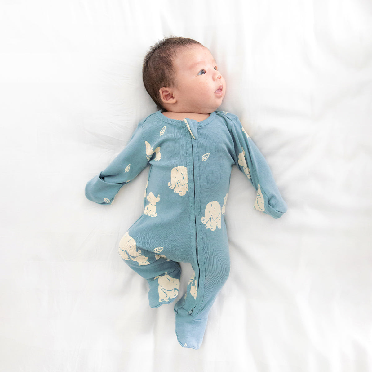 A newborn baby in a teal blue, organic zip sleepsuit in elephant print by Le Petit Society.