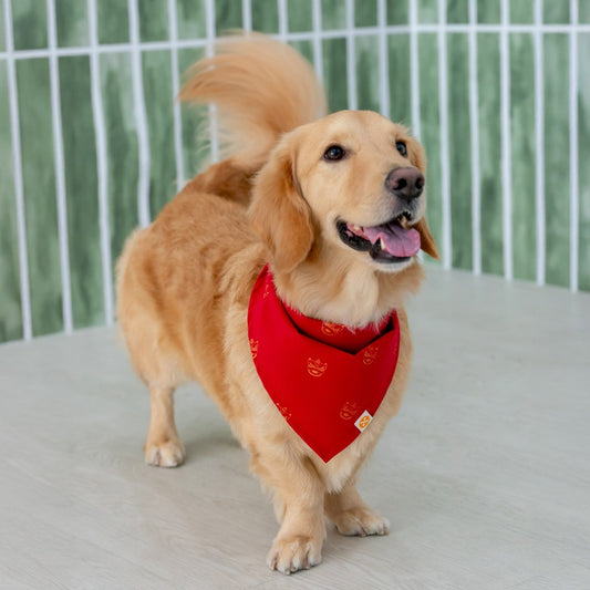 Lion Dance Series - Pet Bandana in Gold Lion Print by Le Petit Society