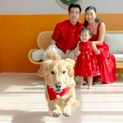 Lion Dance Series - Pet Bandana in Gold Lion Print by Le Petit Society — image 4