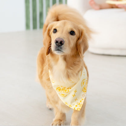 Lion Dance Series - Pet Bandana in Yellow by Le Petit Society — image 5