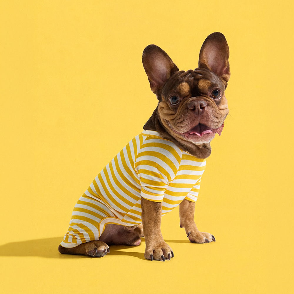 Dog Onesie in Banana by Selenight Co x Pat Law — image 3
