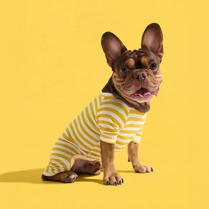 Dog Onesie in Banana by Selenight Co x Pat Law — image 3