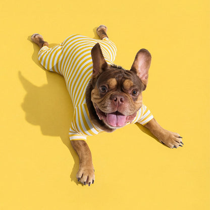 Dog Onesie in Banana by Selenight Co x Pat Law