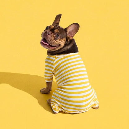 Dog Onesie in Banana by Selenight Co x Pat Law — image 4
