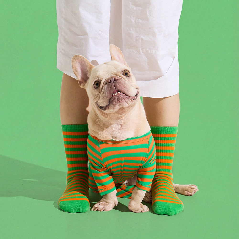 Dog Onesie in Carrot by Selenight Co x Pat Law — image 2