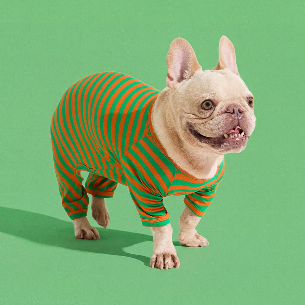 Dog Onesie in Carrot by Selenight Co x Pat Law — image 3