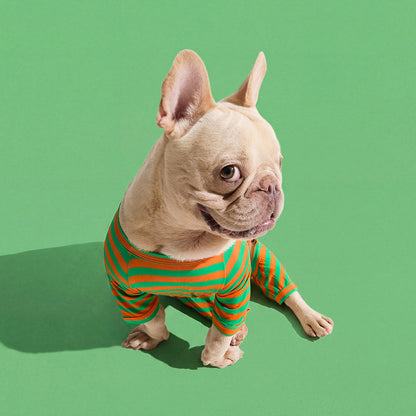 Dog Onesie in Carrot by Selenight Co x Pat Law — image 6