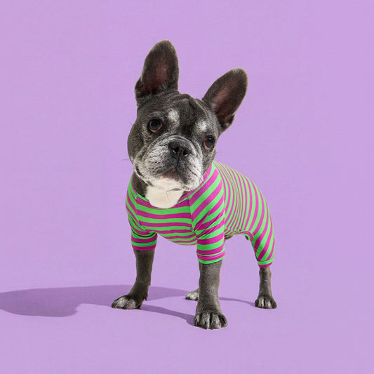 Dog Onesie in Eggplant by Selenight Co x Pat Law
