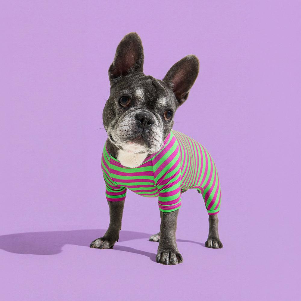 Dog Onesie in Eggplant by Selenight Co x Pat Law — image 6