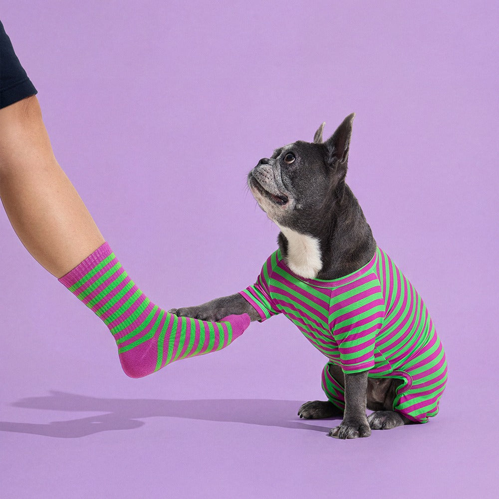 Dog Onesie in Eggplant by Selenight Co x Pat Law — image 2