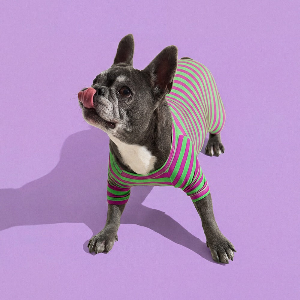 Dog Onesie in Eggplant by Selenight Co x Pat Law — image 3