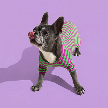 Dog Onesie in Eggplant by Selenight Co x Pat Law — image 3