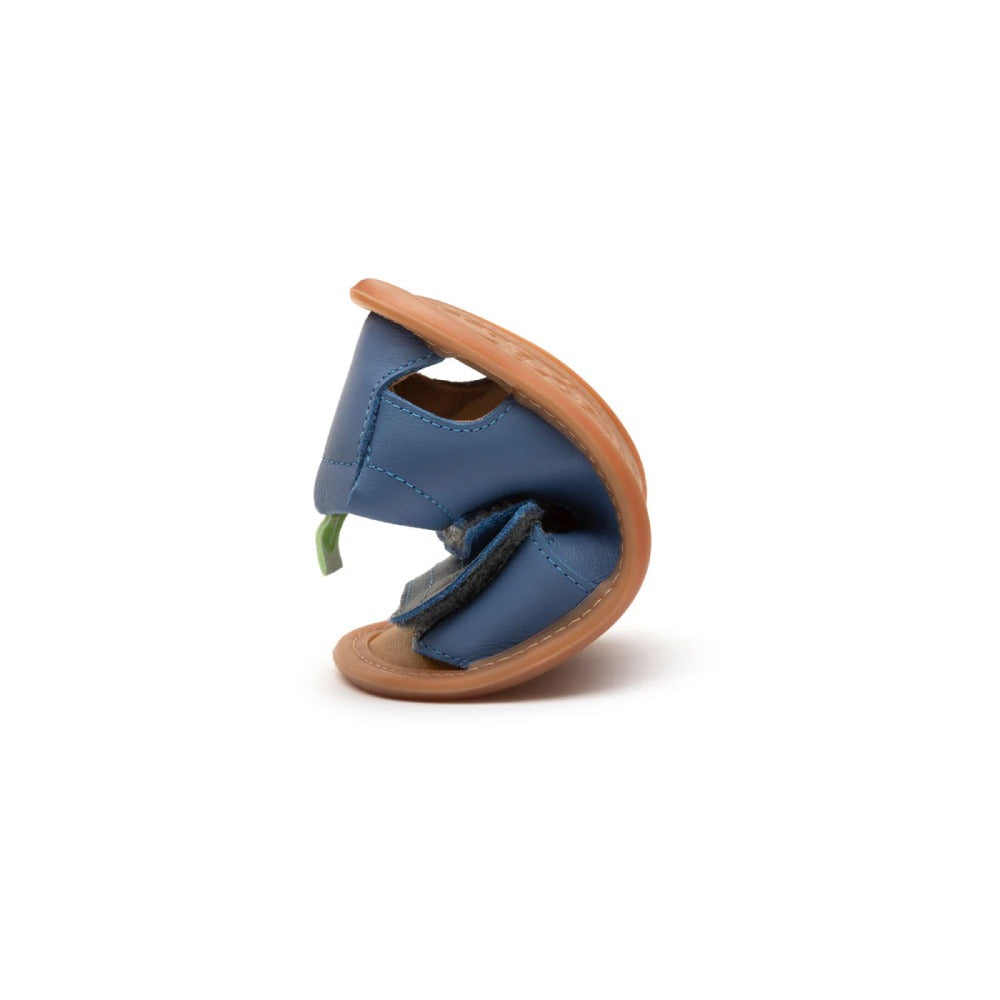 Toddler Sandals Sandy in Blue Tang by Tip Toey Joey — image 4