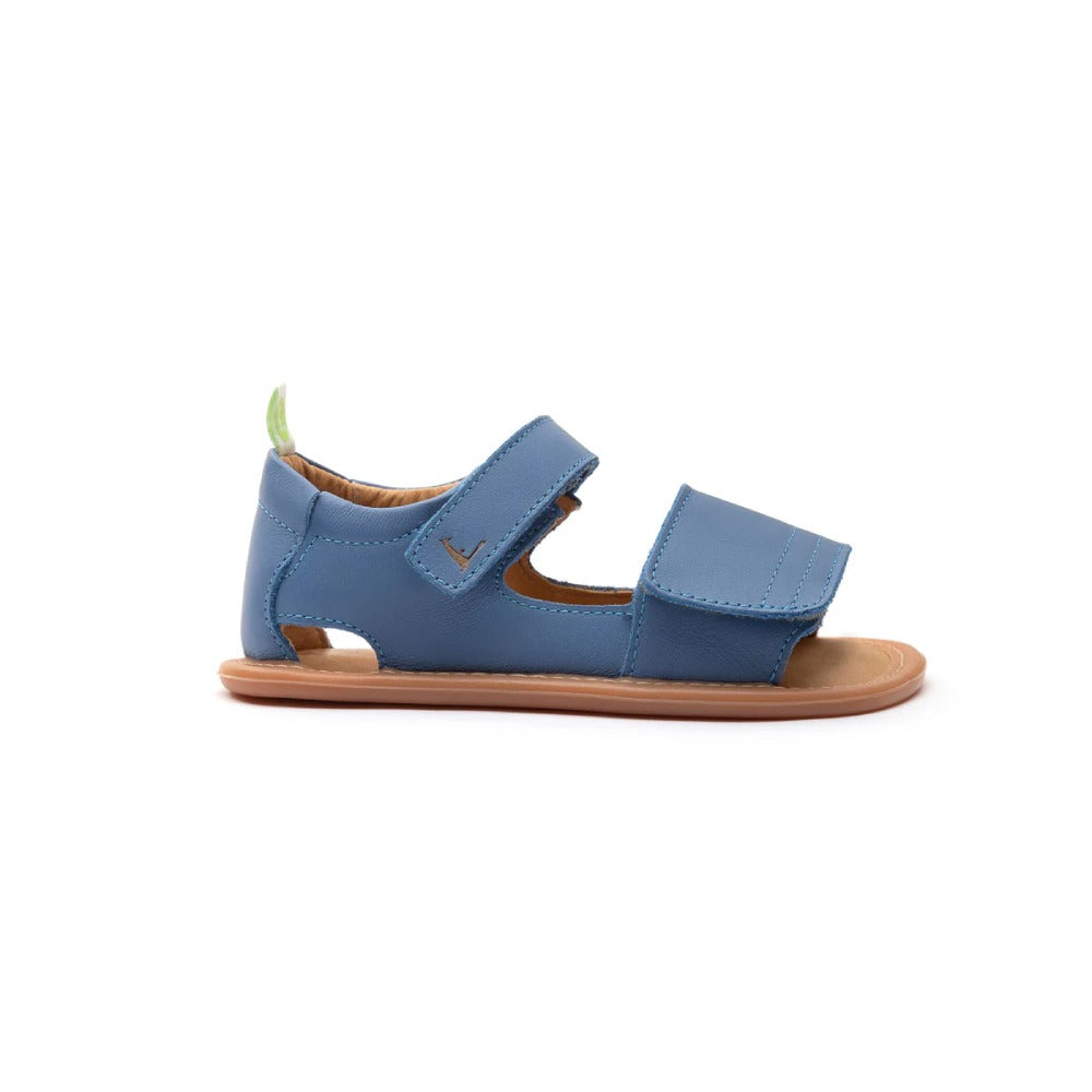 Toddler Sandals Sandy in Blue Tang by Tip Toey Joey — image 5