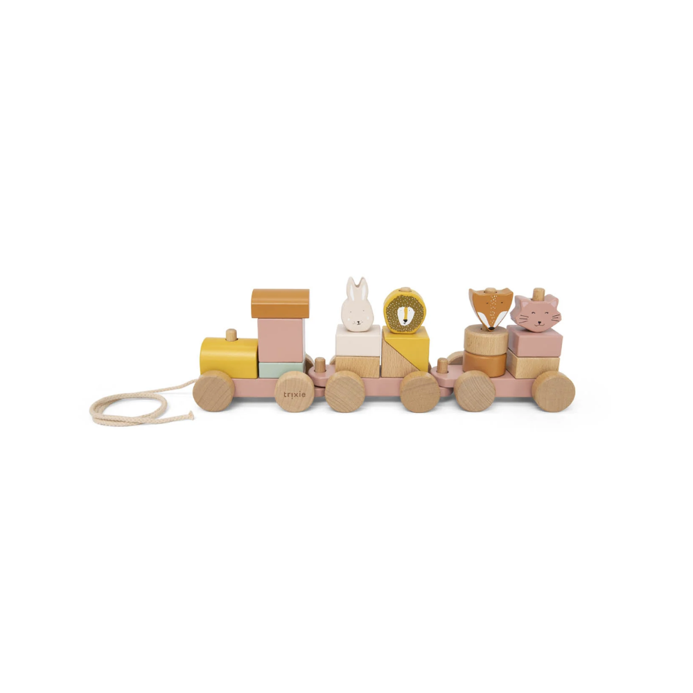 Wooden Animal Train in Mrs Cat by Trixie
