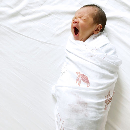Baby Organic Swaddle in Turtles by Le Petit Society