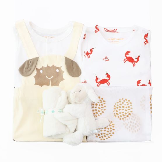 Baby Welcome Gift - Shear Delight