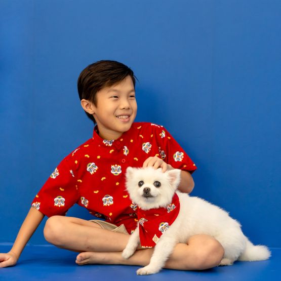 Lion Dance Series - Pet Bandana in Red (Personalisable) 