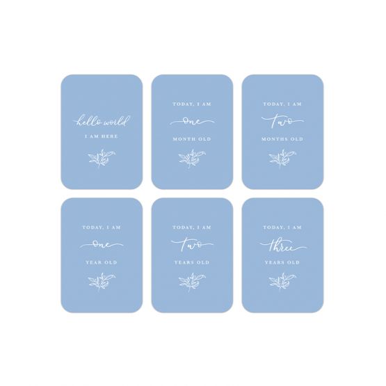 Baby Milestone Diary Cards - Blue by The Letter V Stationer