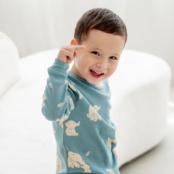 Kids Long Sleeve Organic Pyjamas Set in Elephant Print