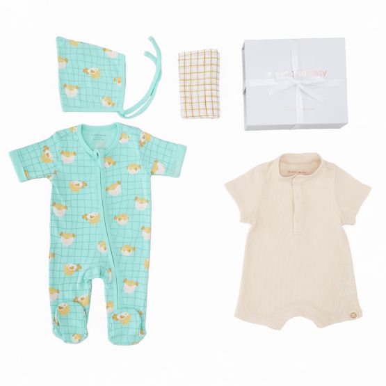 Baby Boy Petit Box - Puffin' Pal