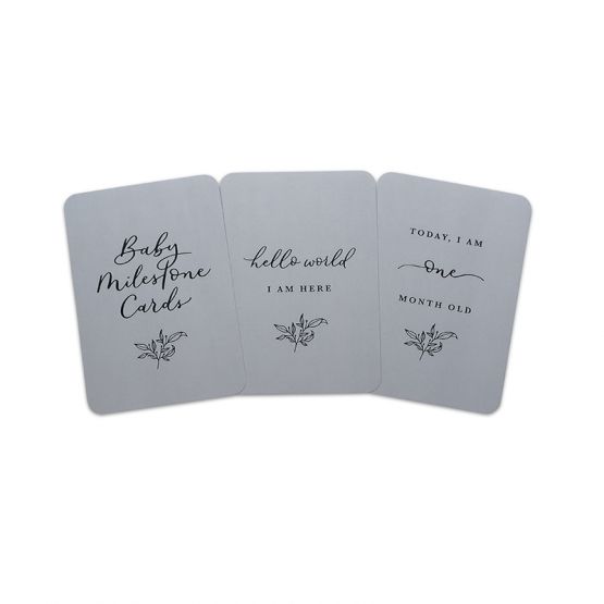 Baby Milestone Diary Cards - Grey by The Letter V Stationer
