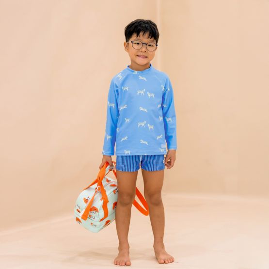 Swim Trunks in Blue Stripes
