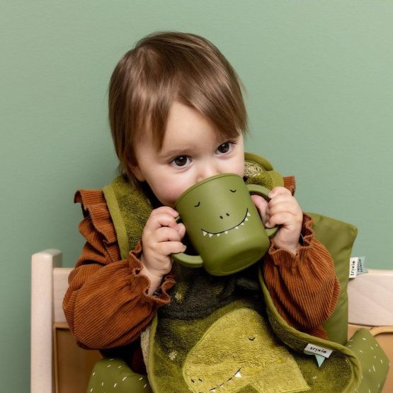 Silicone Sippy Cup - Mr Dino by Trixie