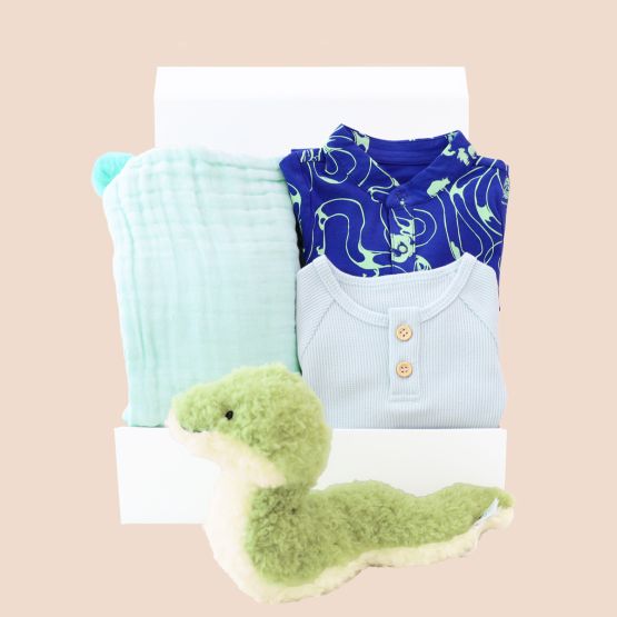 Baby Boy Gift - Emerald Explorer