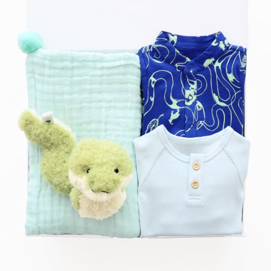Baby Boy Gift - Emerald Explorer