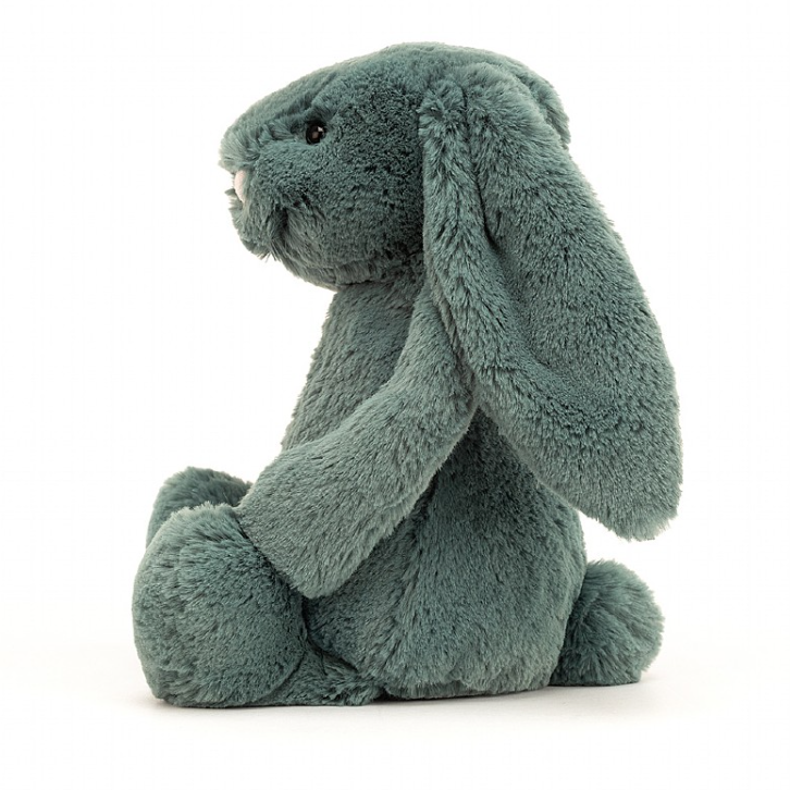 Bashful Forest Bunny (Small) by Jellycat